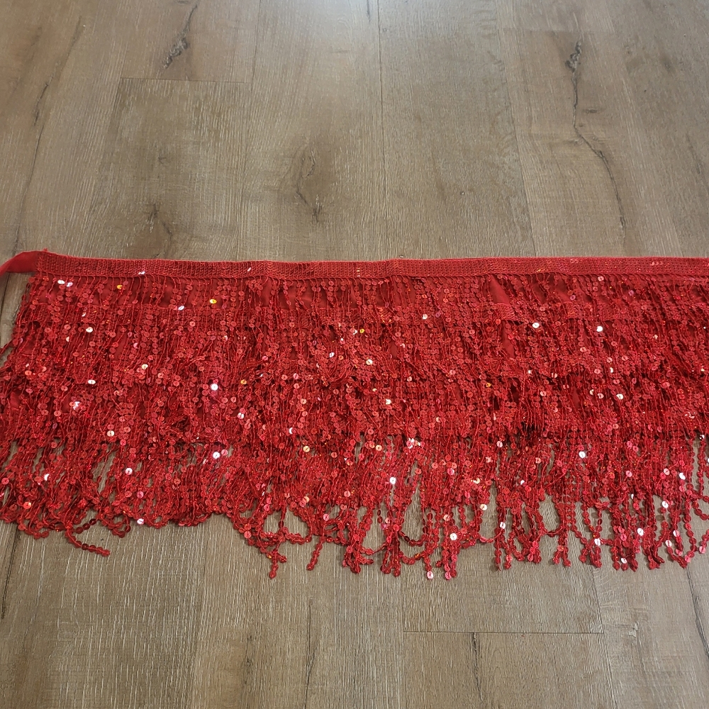 Red Sequins Skirt Belly Dancing
